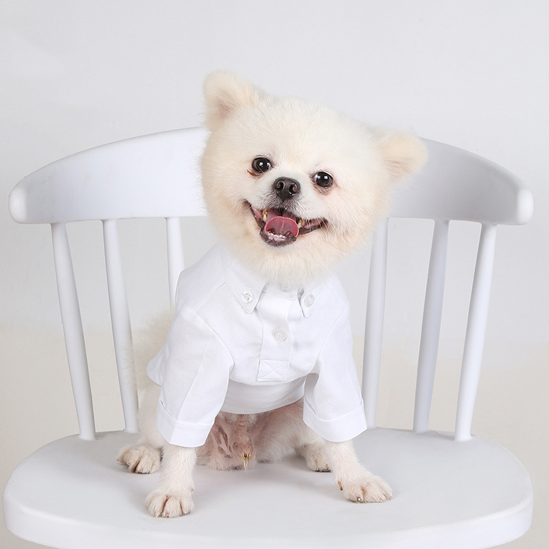Spring and Autumn Pet Bottomin – обзор и цена Summer Dog Clothing