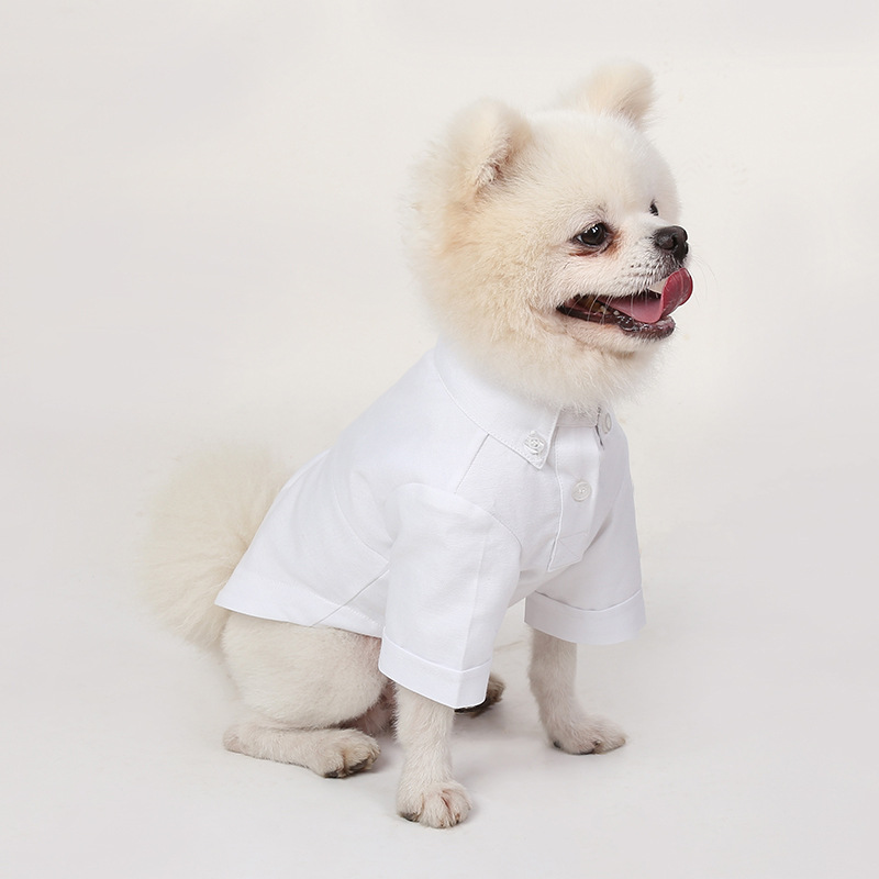 Spring and Autumn Pet Bottomin – обзор и цена Summer Dog Clothing