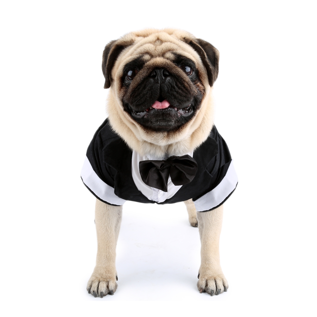 Dog Shirt Puppy Clothes, Pet W – обзор и цена Summer Dog Clothing