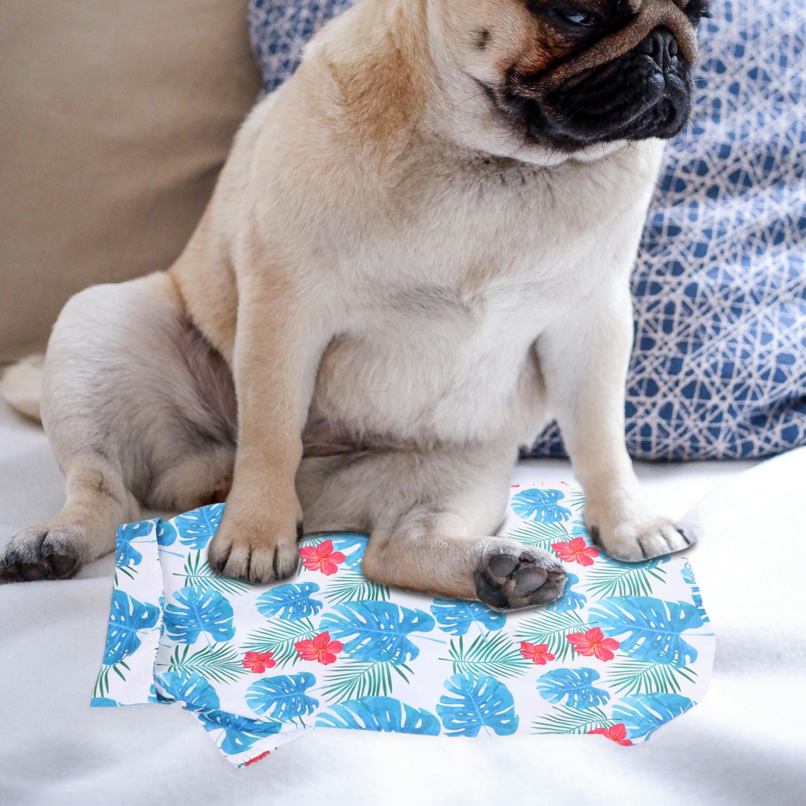 2pcs Pet Shirt For Dog Cat Haw – обзор и цена Summer Dog Clothing