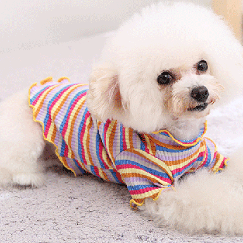 Pet Dog Clothes Puppy Vest T-s – обзор и цена Summer Dog Clothing