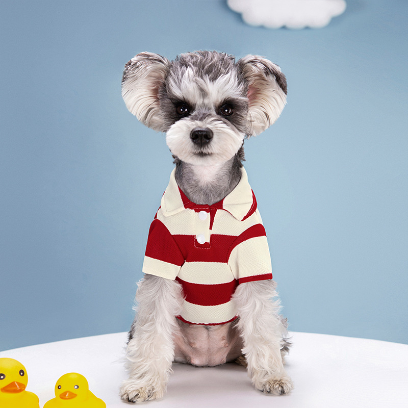 Pet Dog Polo Shirt Summer Dog  – обзор и цена Summer Dog Clothing