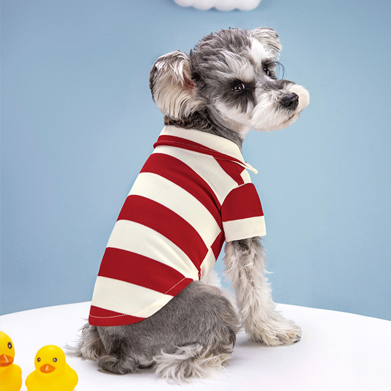 Pet Dog Polo Shirt Summer Dog  – обзор и цена Summer Dog Clothing
