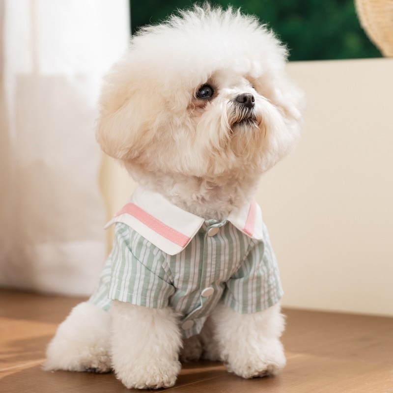 Summer Soft Dog Clothes Cute B – обзор и цена Summer Dog Clothing